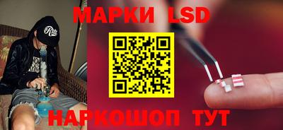 прущие грибы Краснокаменск