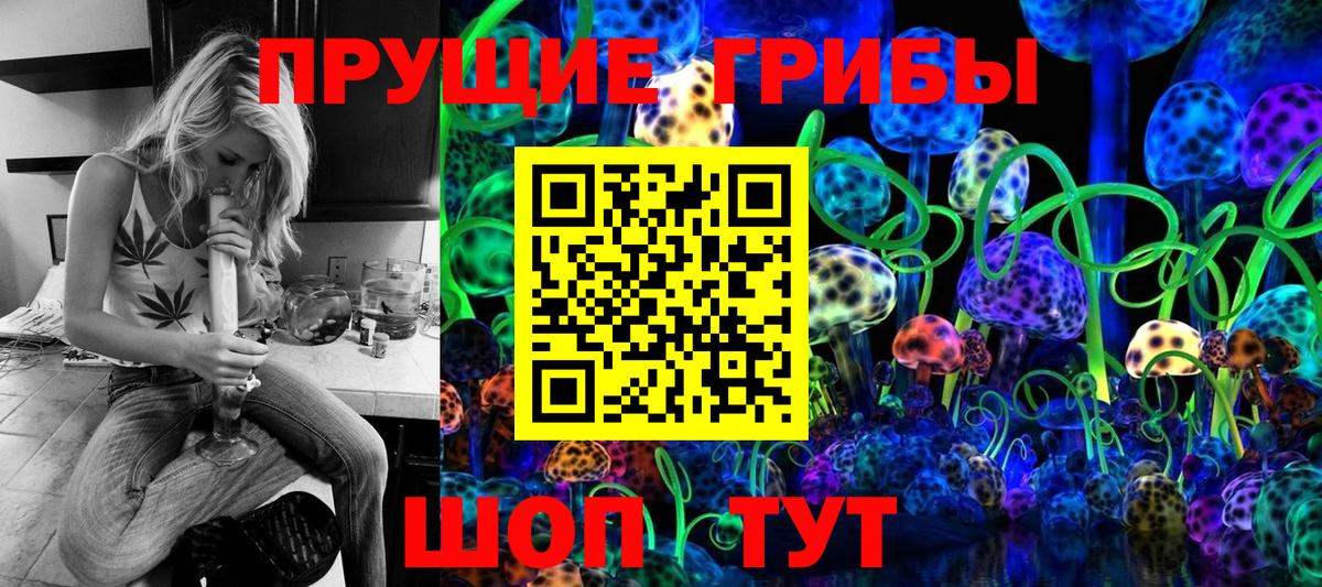 Галлюциногенные грибы Psilocybe  Вход с VPN  Тула  Псилоцибиновые грибы Psilocybine cubensis 