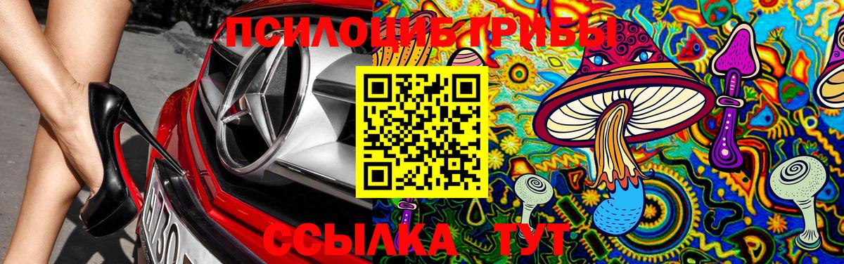 Псилоцибиновые грибы мицелий Тула