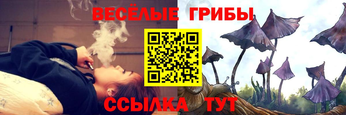 LSD-25  NBOMe  Каннабис  Вход с VPN  Тула  ГАШ  Cocaine  Мефедрон  