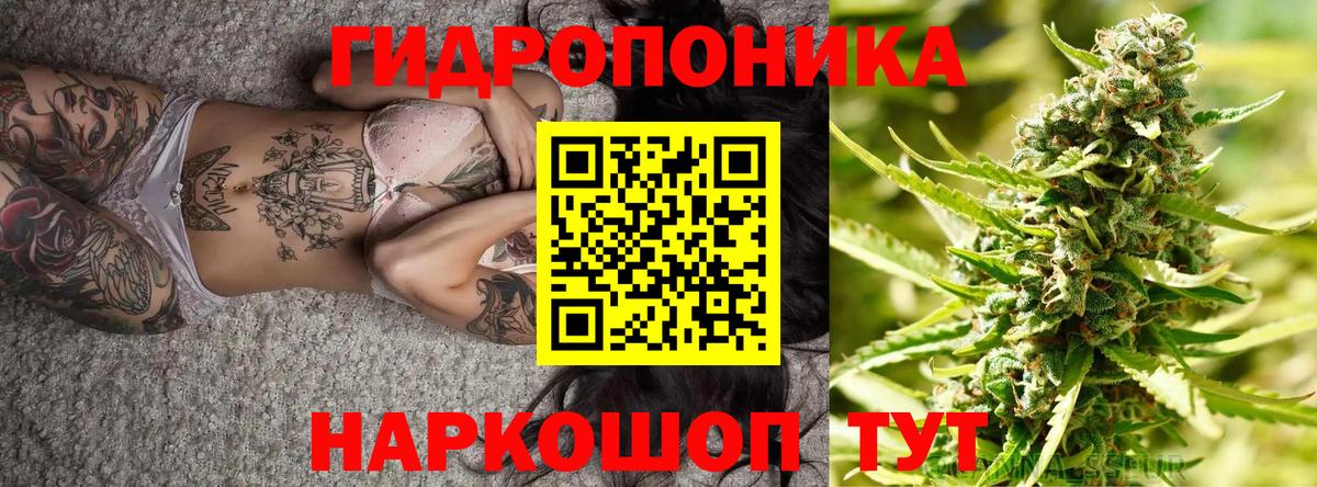 Тула  Шишки марихуана гибрид  Каннабис планчик  Вход с VPN 